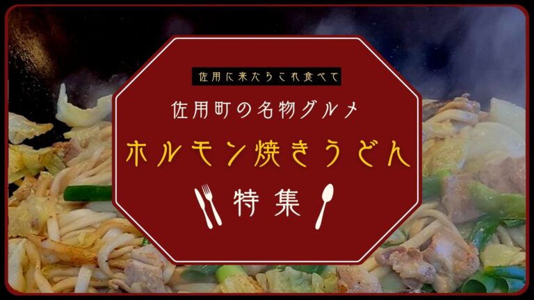 ホルモン焼きうどん