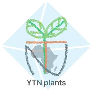 YTN plants