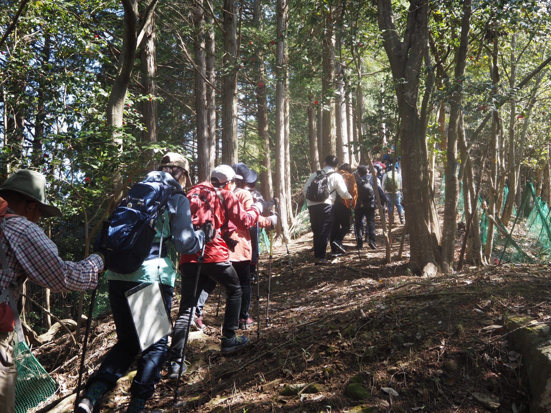 利神山を登山するツアー参加者