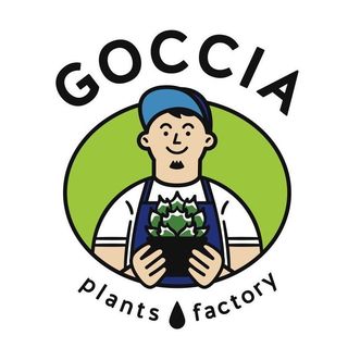 GOCCIA plants factory