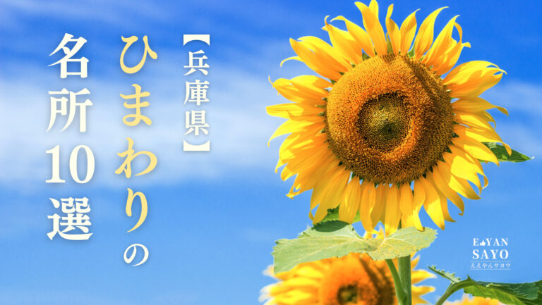兵庫県のひまわり畑の名所10選