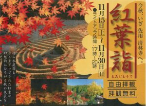 今秋、いざ佐用・清林寺へ。紅葉詣（もみじもうで）ライトアップ開催